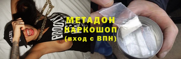 стаф Богданович