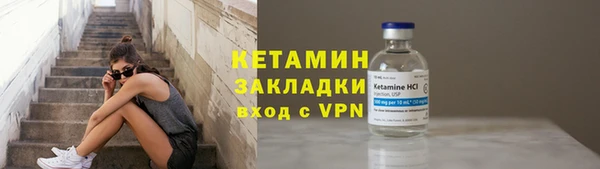 стаф Богданович