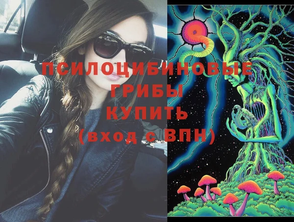 2c-b Михайлов