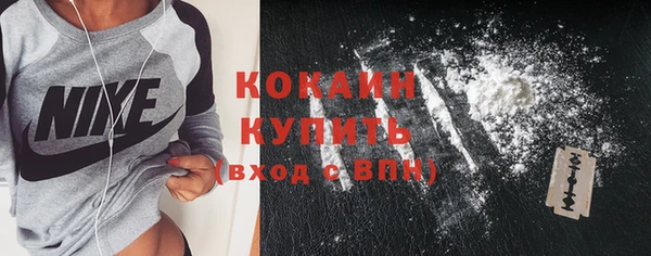 стаф Богданович