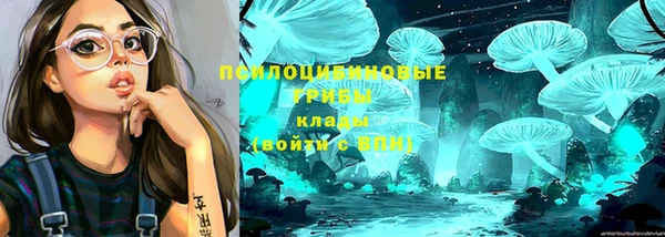 прущая мука Богородицк