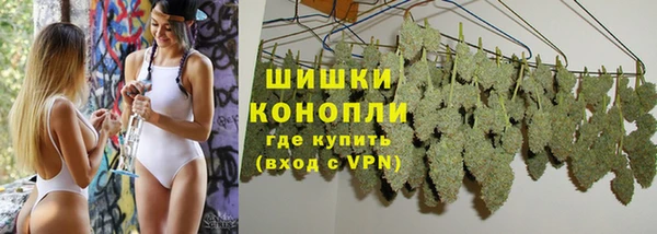 крисы Бугульма