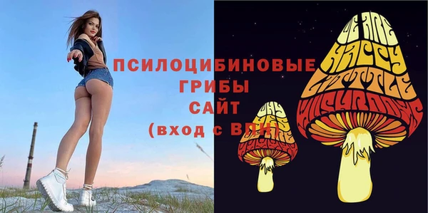 метамфетамин Богородск