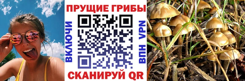 продажа наркотиков  Белокуриха  Галлюциногенные грибы мухоморы 